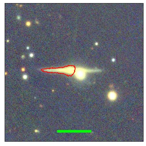 1184_025.0_contour_r