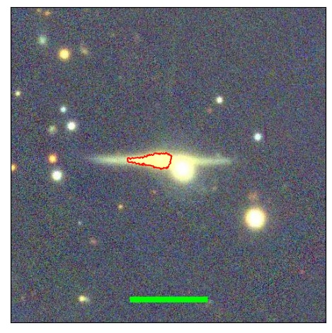 1184_025.0_contour_y