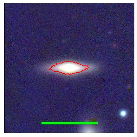 1184_037.1_contour_y