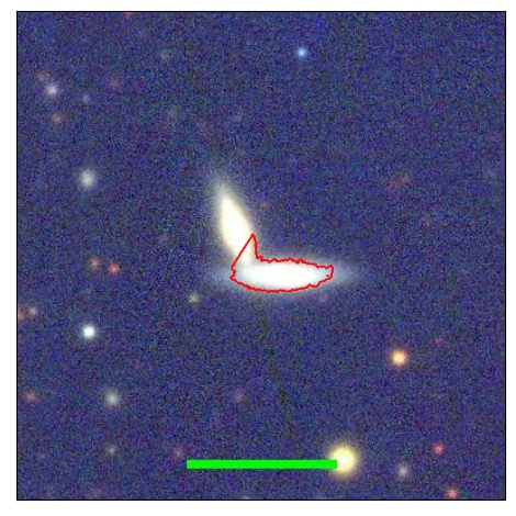 1184_081.0_contour_y