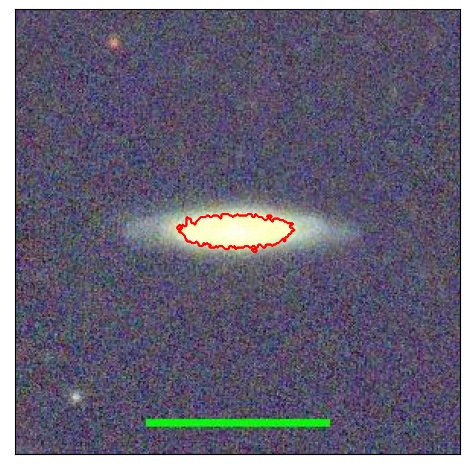 1184_085.1_contour_y