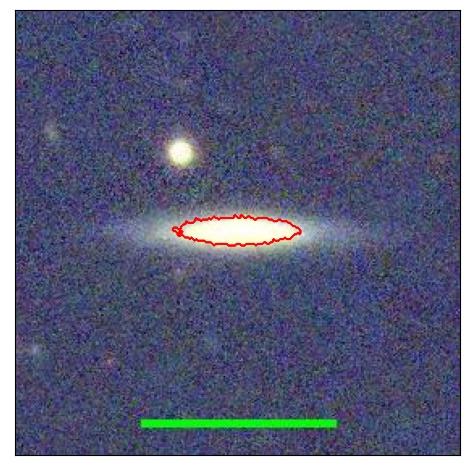 1184_088.2_contour_y