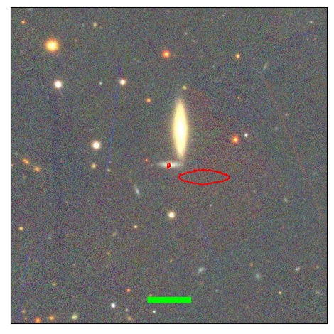 1185_082.1_contour_y