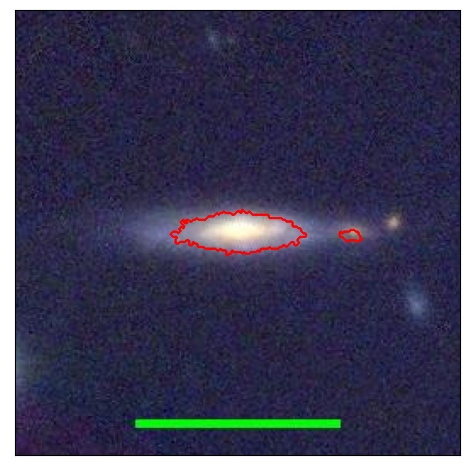 1186_050.0_contour_y