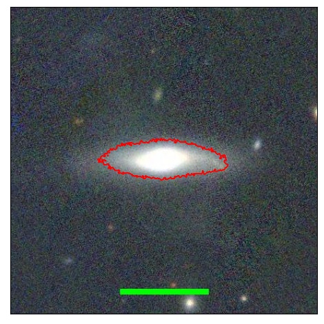 1190_008.1_contour_r