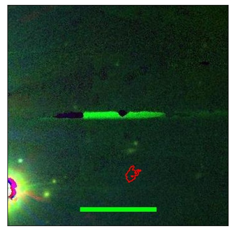 1192_066.0_contour_g