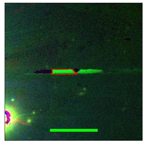 1192_066.0_contour_r