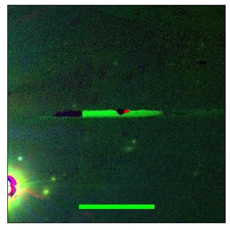 1192_066.0_contour_y