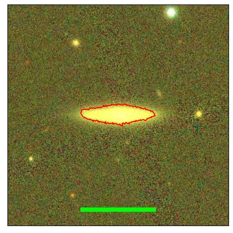 1194_019.0_contour_y