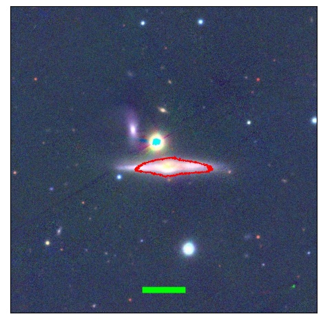 1195_051.0_contour_y