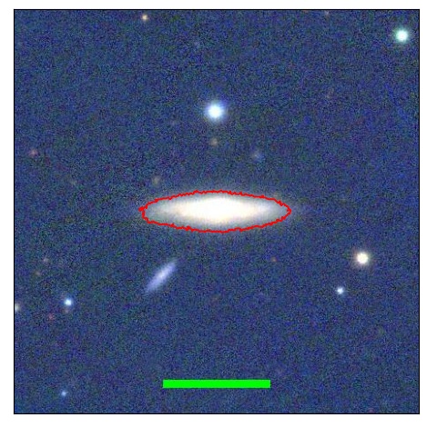 1196_005.1_contour_r