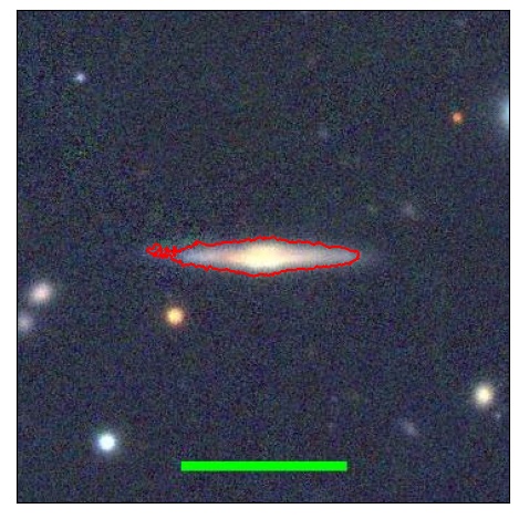 1196_019.0_contour_r