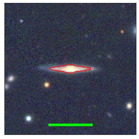 1196_019.0_contour_y