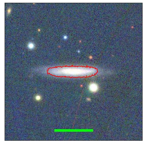 1196_028.1_contour_r