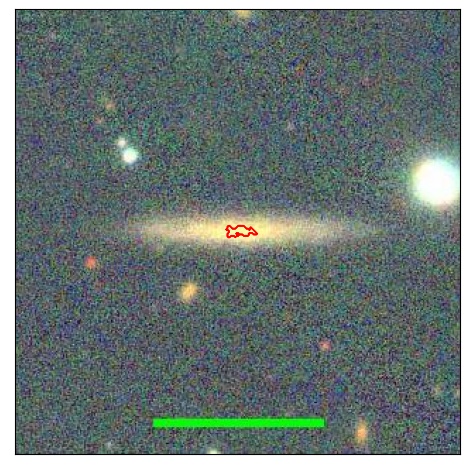 1196_061.0_contour_y