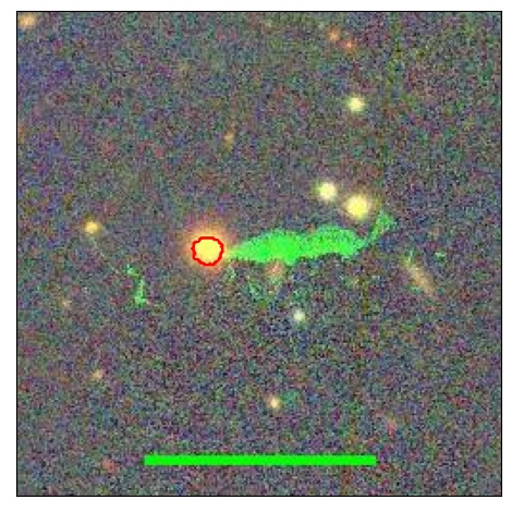 1202_026.0_contour_g