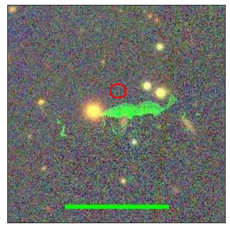 1202_026.0_contour_y