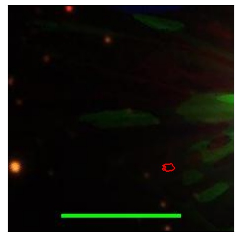 1207_052.0_contour_g