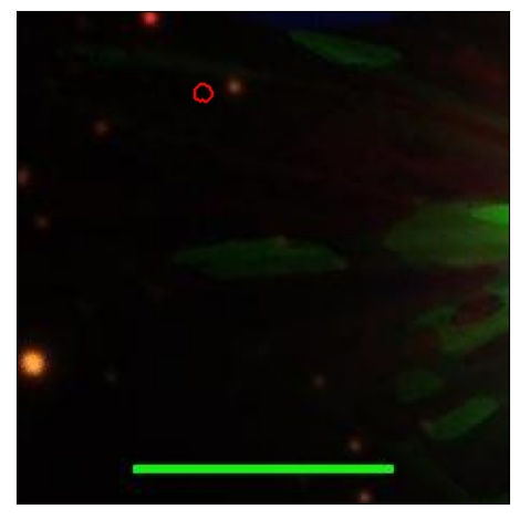 1207_052.0_contour_y