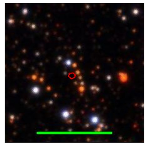 1212_031.1_contour_g