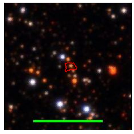 1212_031.1_contour_i