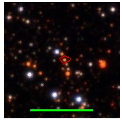 1212_031.1_contour_r