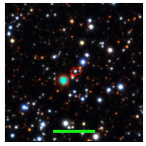 1212_041.1_contour_g