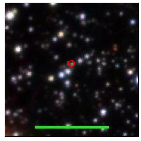 1213_004.1_contour_r