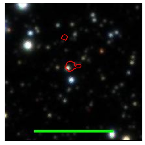 1213_004.2_contour_y