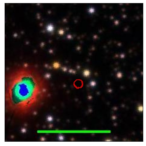 1213_005.0_contour_y