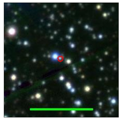 1213_013.0_contour_i