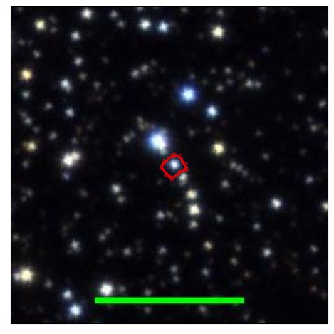 1213_021.0_contour_r