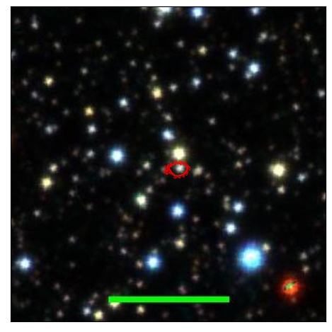 1213_024.1_contour_i