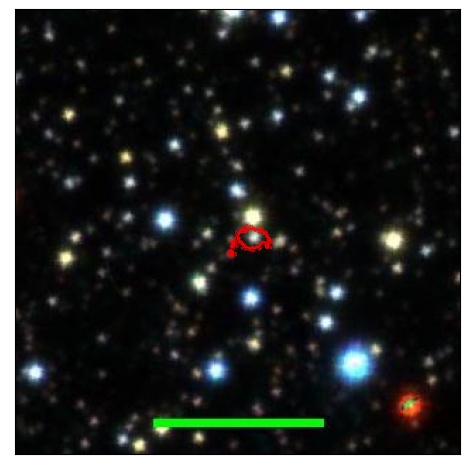 1213_024.1_contour_r