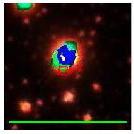 1213_024.2_contour_r