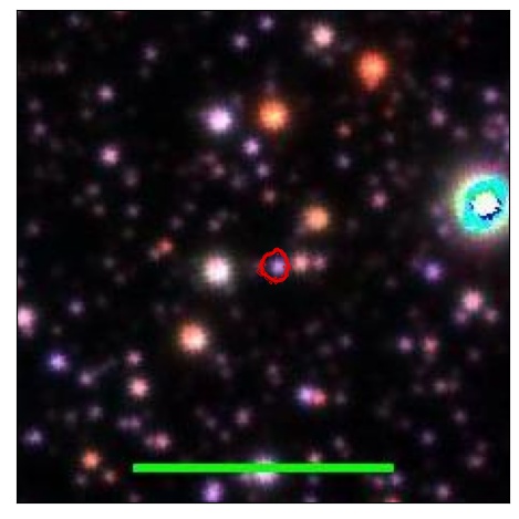 1213_026.0_contour_r