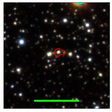 1213_031.2_contour_g