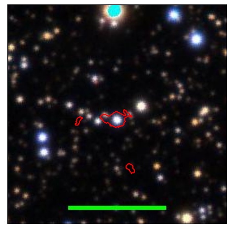 1213_033.0_contour_y