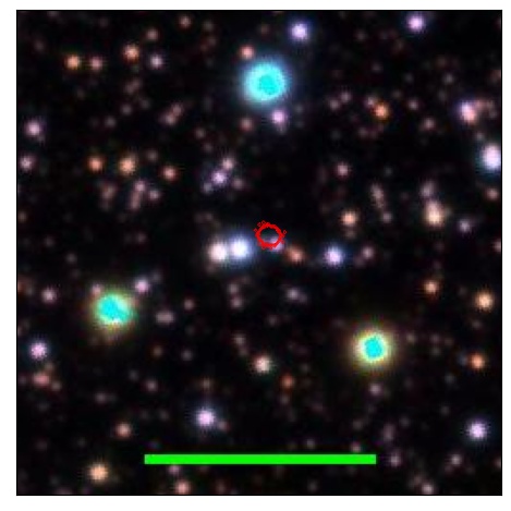 1213_036.0_contour_g