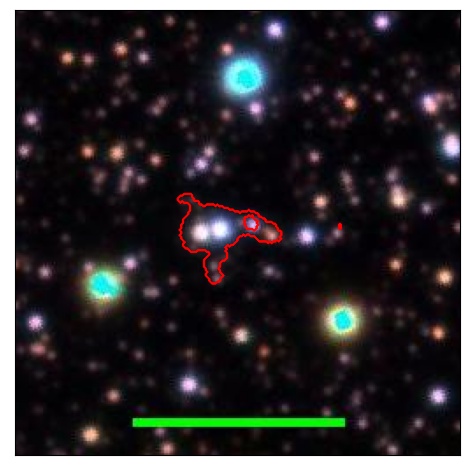 1213_036.0_contour_r