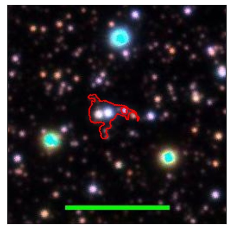 1213_036.0_contour_z