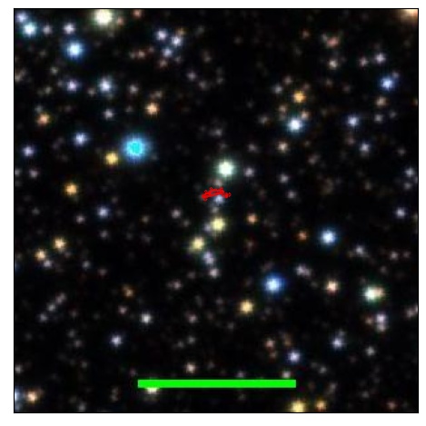 1213_036.1_contour_r