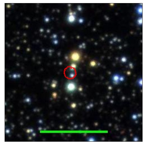 1213_037.0_contour_z