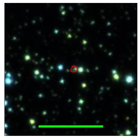 1213_042.0_contour_y