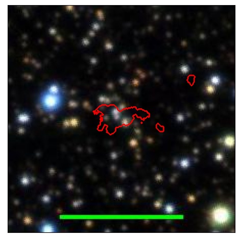 1213_046.1_contour_g