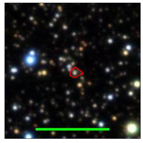 1213_046.1_contour_r