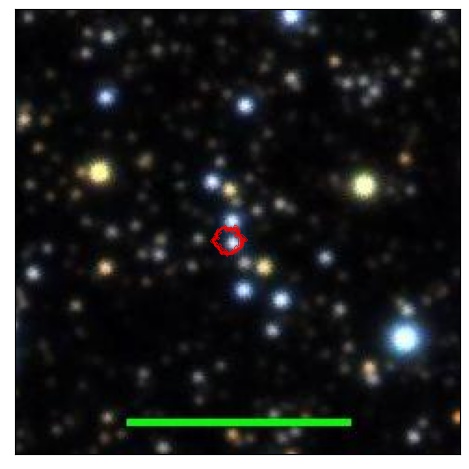 1213_047.0_contour_y