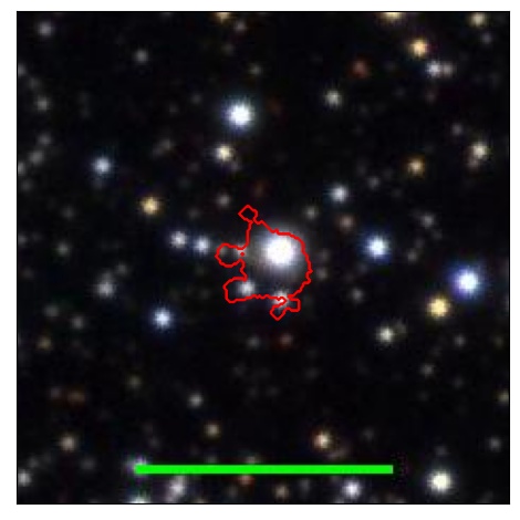 1213_051.0_contour_y