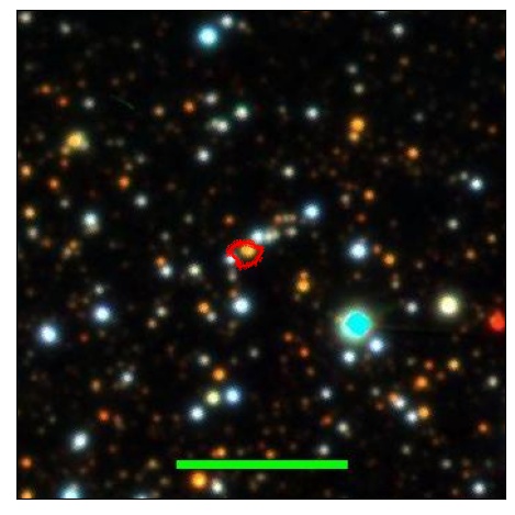 1213_059.1_contour_i