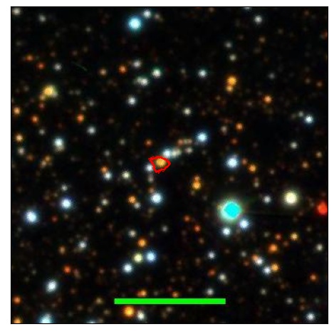 1213_059.1_contour_r